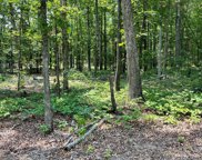 2450 Dutch  Road, Mount Pleasant image