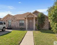 6976 Austrian Pine, Brownsville image