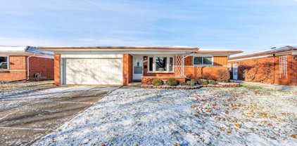 31163 MOCERI, Warren