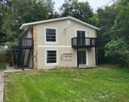 15417 Livingston Avenue, Lutz image