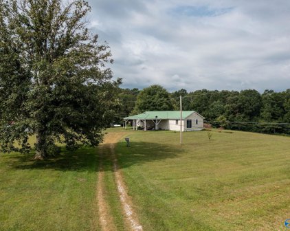 268 County Road 815, Higdon