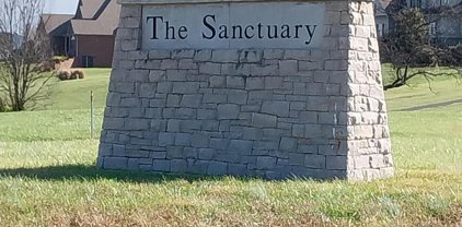 110  Sanctuary Lane, Danville