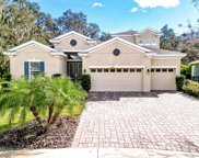 14219 Lambert Bridge Lane, Lithia image