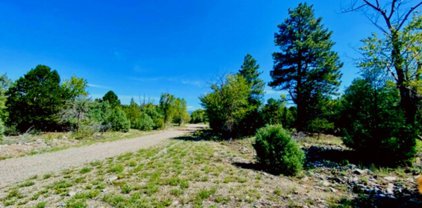 22 Lake Of The Falls Parkway, Mosca
