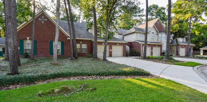 134 N Magnolia Pond Place, The Woodlands