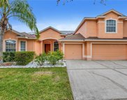 19107 Nature Palm Lane, Tampa image
