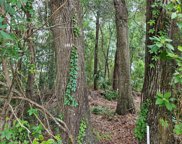 TBD Sw 194th Court Unit LOT 37, Dunnellon image