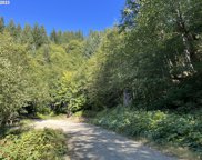 Skamania Mines RD, Washougal image
