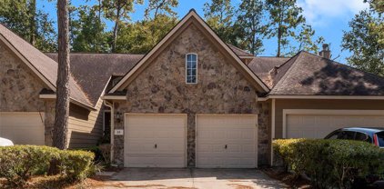 15 Harvest Wind Place, The Woodlands