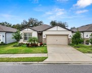 6293 Bradford Woods Drive, Zephyrhills image