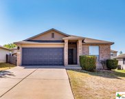 363 Marquitos Drive, Kyle image
