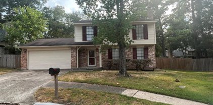 3219 Old Chapel Drive, Spring