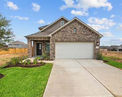21618 Sandy Dune Drive, Cypress