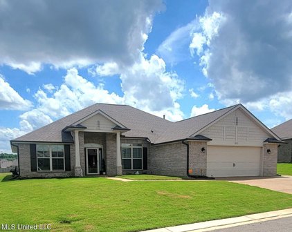 2571 Madeline Lane, Southaven