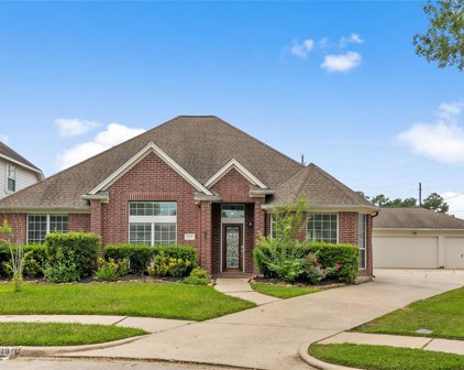 20619 Cypress Tree Lane, Spring