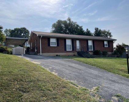 163 Tampa  Dr, Roanoke