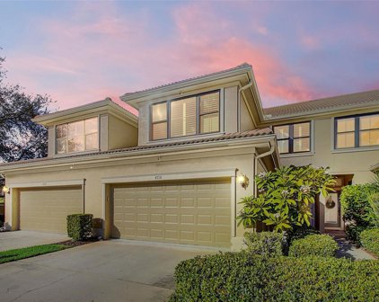4718 Swordfish Way, Palm Harbor