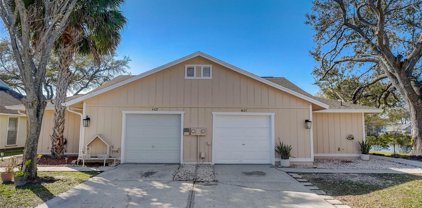 4423 Pine Meadow Court, Tampa