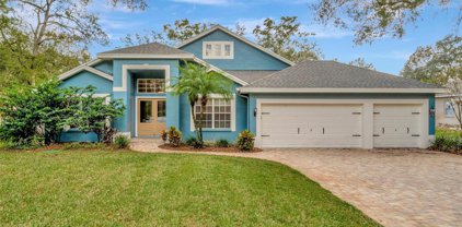 2429 Fox Forest Drive, Lutz