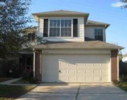 919 N Oak Drive, Houston image