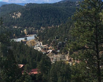 4465 Forest Trail, Evergreen