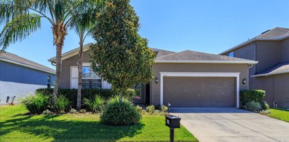3511 Cortland Drive, Davenport