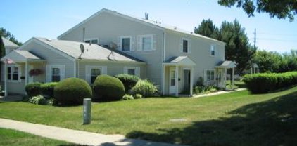 184 Rita Court Unit #B, Bartlett