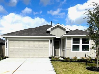 14540 Lily Plains Drive, Splendora