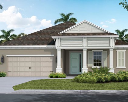 4308 Big Woods Way, Parrish