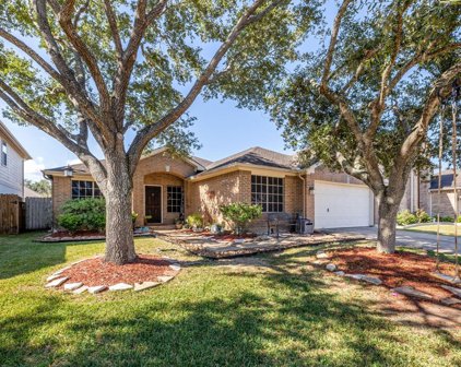 3807 Saxon Hollow Court, Friendswood
