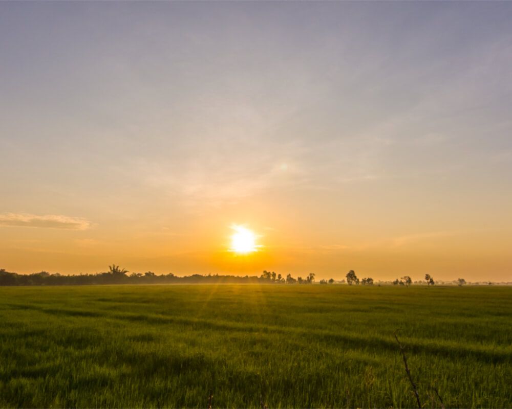 DFW Acreage Real Estate