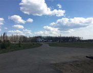 112 Conifer  Way, Saprae Creek image
