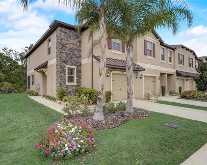 8531 Reedville Street, New Port Richey