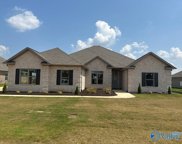 26126 Woodfield Drive, Athens image