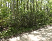 Gum Road, New Smyrna Beach image