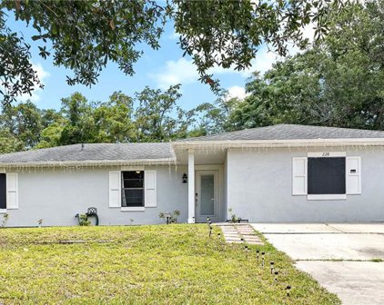 228 Clara Vista Street, Debary