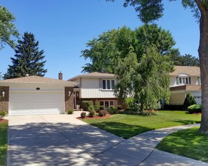 1004 W Brittany Drive, Arlington Heights