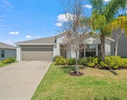 10517 Strawberry Tetra Drive, Riverview image