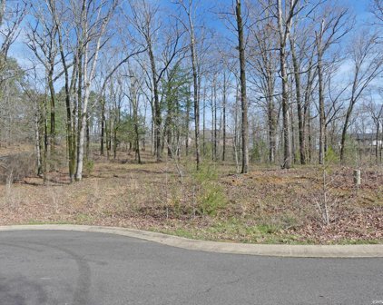 Lot 11 ROSE CREEK Court, Hot Springs