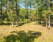 8 & 9 Orchard Hill, Conway image