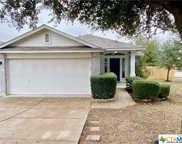 14801 Hyson  Crossing, Pflugerville image