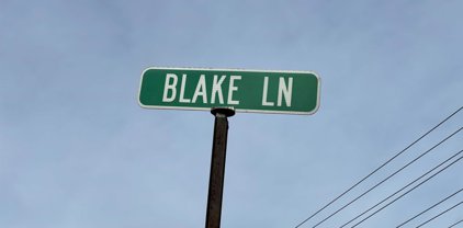 lot 38 Blake Lane, Arab