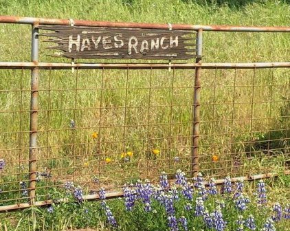 300 Hayes RD, Royal Oaks
