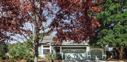 228 Black Oak Drive, Petaluma