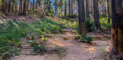 140 Bobcat LN, Boulder Creek