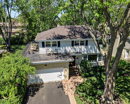 1430 N Douglas Avenue, Arlington Heights