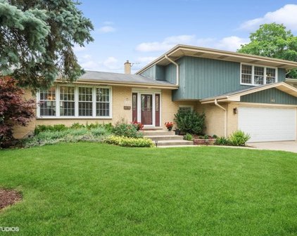 902 E Crabtree Drive, Arlington Heights