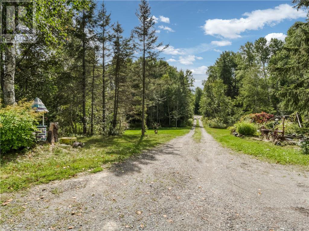 Treed gravel approach shown for 896 Red Deer Lake Road North
