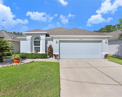 5237 Gato Del Sol Circle, Wesley Chapel