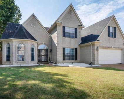 7309 Greythorne Dr, Memphis